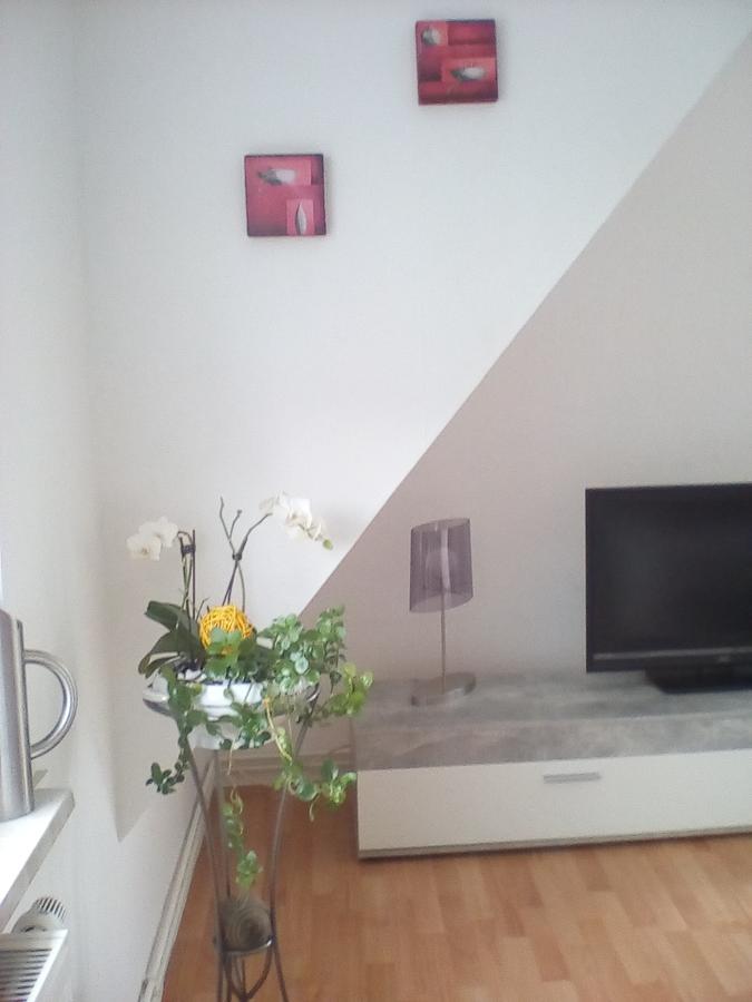 Ferienwohnung Am Geiersberg Walkenried Exteriör bild