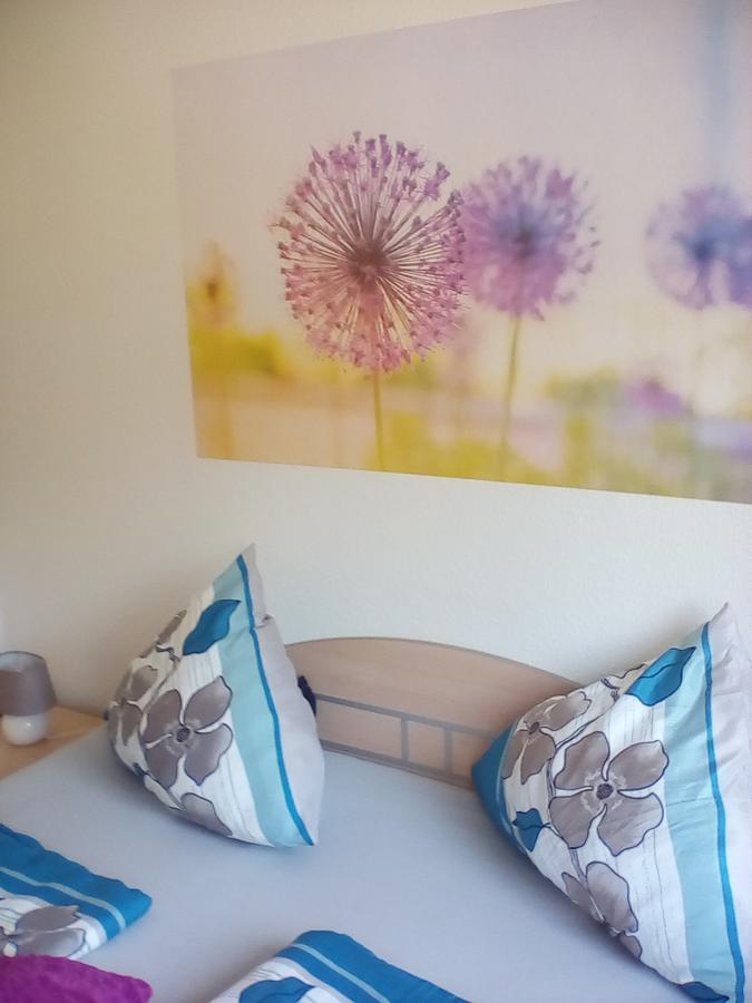 Ferienwohnung Am Geiersberg Walkenried Exteriör bild