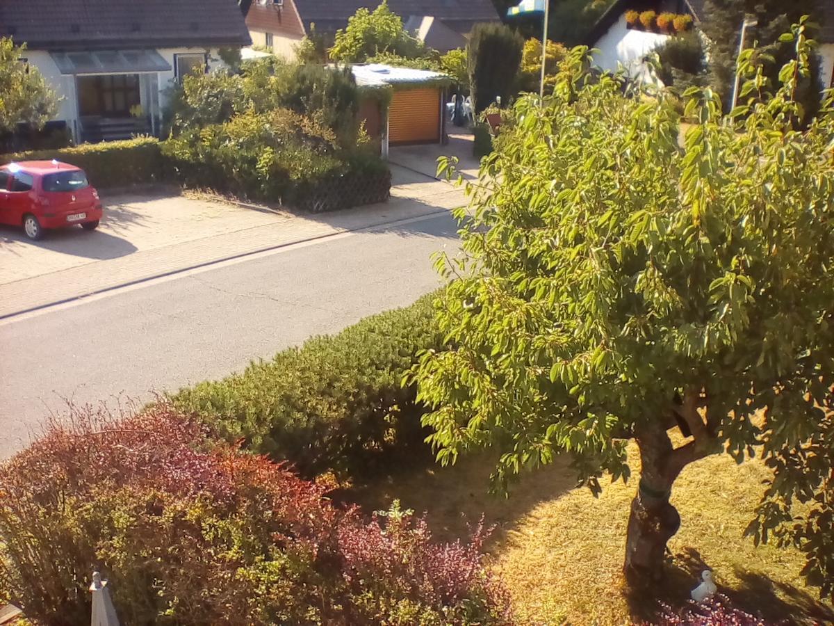 Ferienwohnung Am Geiersberg Walkenried Exteriör bild